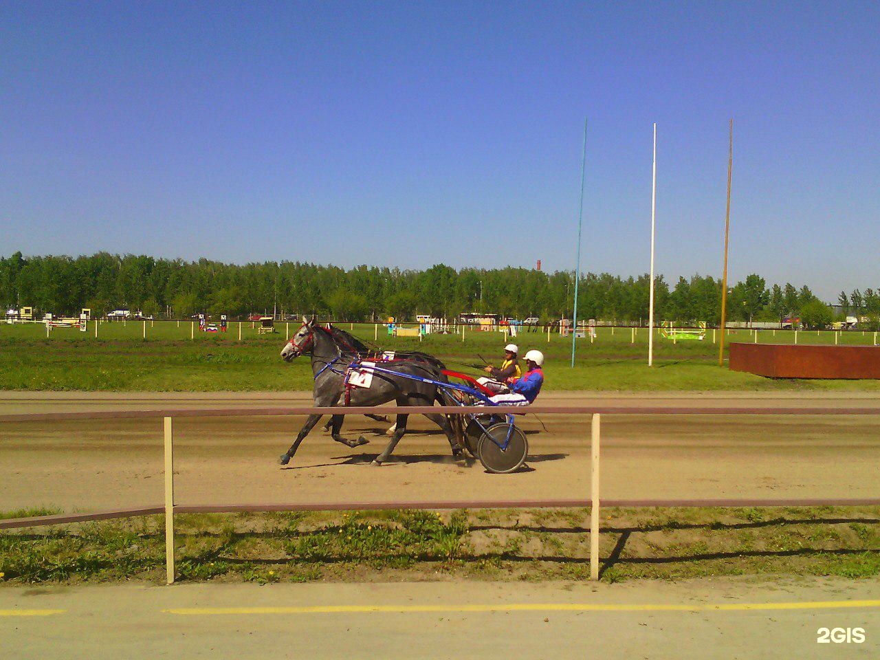 ипподром станционная 97 в новосибирске. новосибирский ипподром конюшни. новосибирский ипподром мастера-наездники. ипподром станционная 97 в новосибирске. новосибирский ипподром конюшни.
