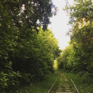 Фото от владельца Заельцовский, парк культуры и отдыха