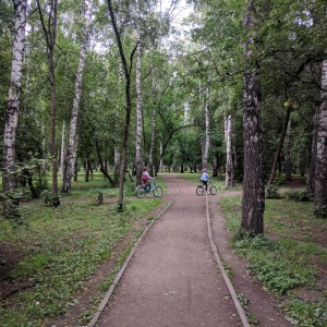 Фото от владельца Берёзовая роща, парк культуры и отдыха