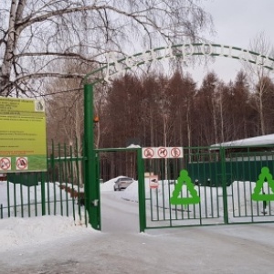 Фото от владельца Отдел лесных отношений по Новосибирскому лесничеству, Департамент лесного хозяйства Новосибирской области