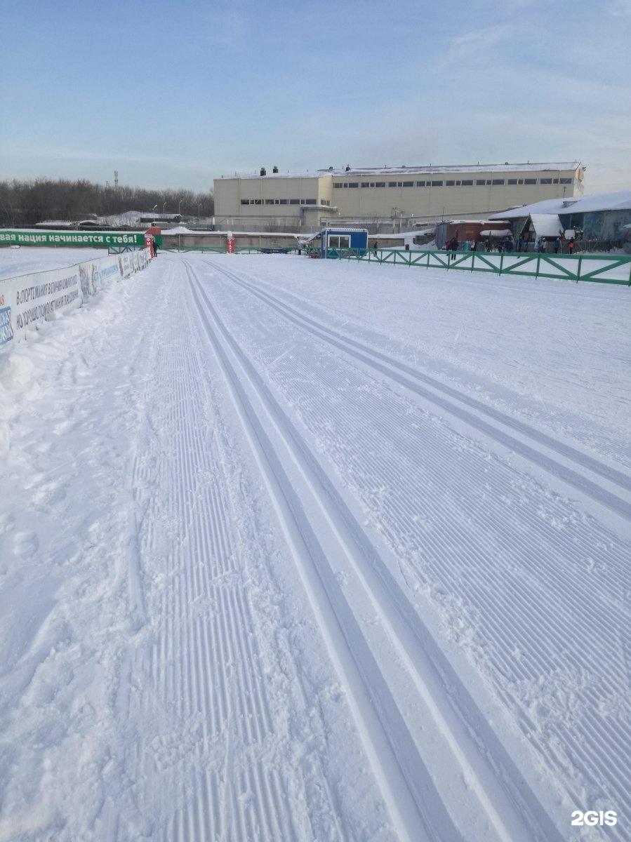 Городская Лыжня Новосибирск