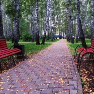 Фото от владельца Берёзовая роща, парк культуры и отдыха