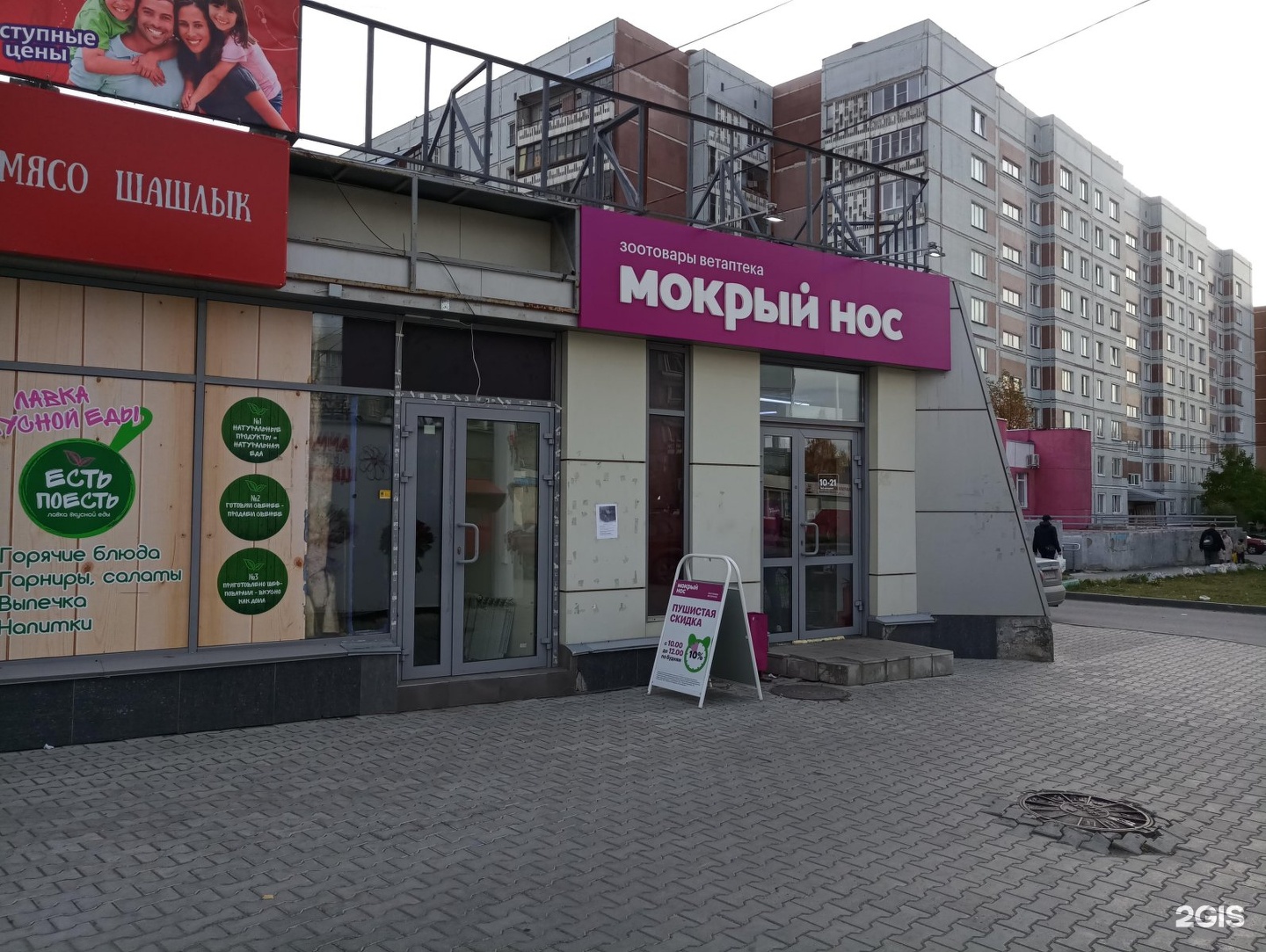 Мокрые носики просп космонавтов 1 фото
