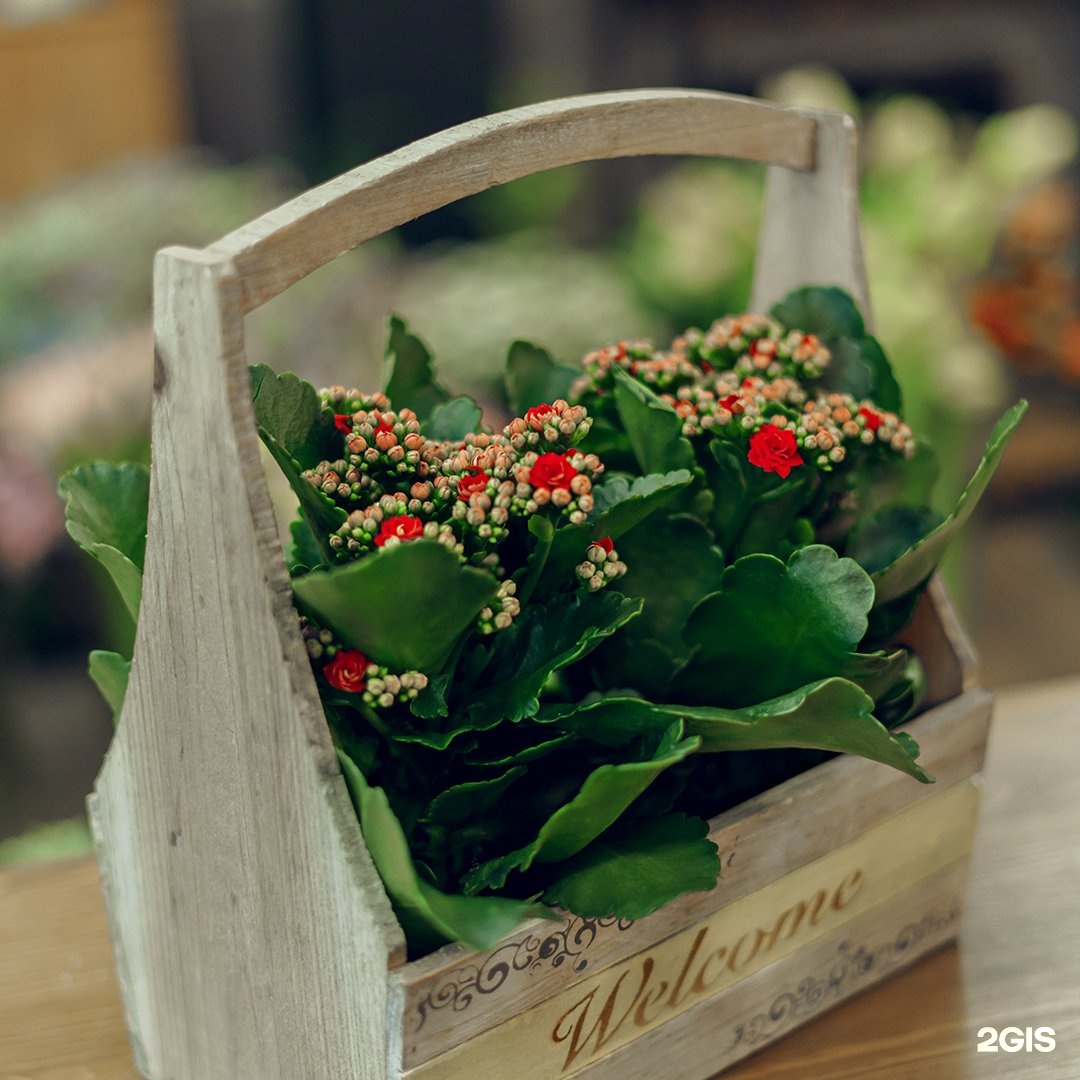 Ля роз талица салон цветов. Цветы новосибирск недорого. La rose новосибирск цветы. Ля роз кемерово. Магазин цветы и вещицы искитим.