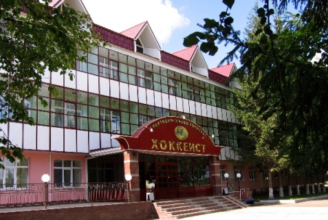 Альметьевск: Отель Хоккеист