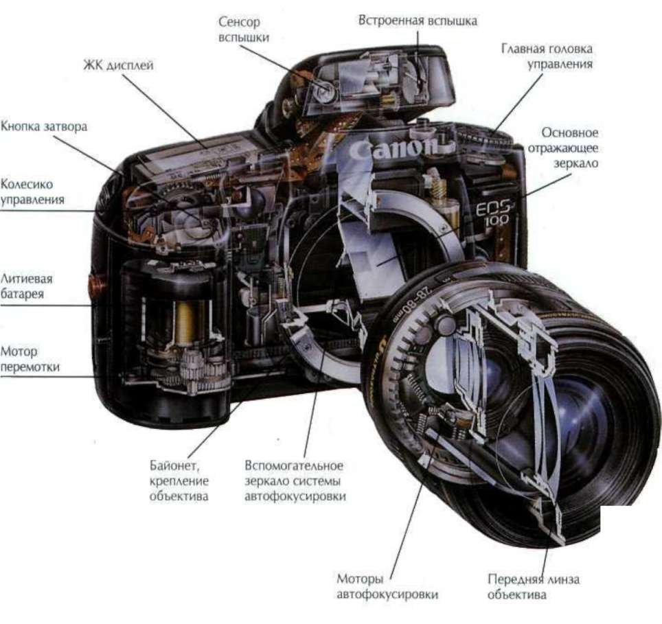 Как устроен год. Устройство зеркального фотоаппарата Canon. Зеркальный фотоаппарат Canon в разрезе. Строение фотоаппарата зеркального. Устройство цифрового фотоаппарата Canon.