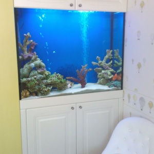 Фото от владельца Арована, аквариумный салон