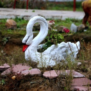 Фото от владельца Аллегро, конный клуб