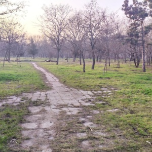 Фото от владельца Парк культуры и отдыха им. Савицкого