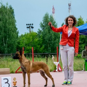 Фото от владельца Анкур, спортивно-кинологический центр