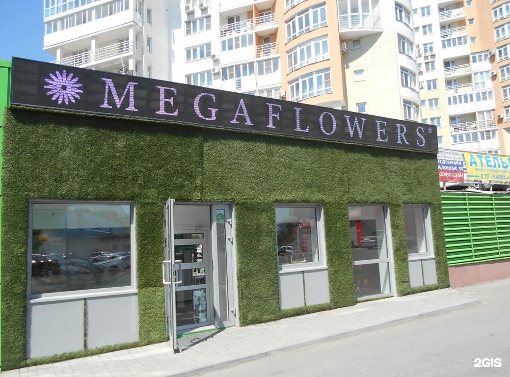 Цвет челябинск. Сеть цветочных магазинов Челябинск MEGAFLOWERS. Мегафлауэрс. Мегафлауэрс официальный сайт Челябинск. Франшиза цветочного магазина.