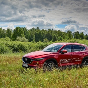 Фото от владельца MAZDA, автосалон