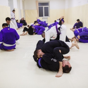 Фото от владельца Jungle BJJ, первая международная школа бразильского джиу-джитсу