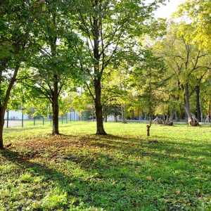 Фото от владельца Парк культуры и отдыха им. Ю.А. Гагарина