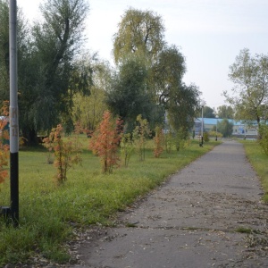 Фото от владельца Зеленый Остров, парк культуры и отдыха