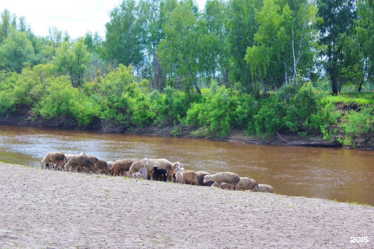 окунево база отдыха