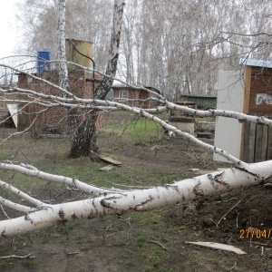 Фото от владельца Шинник-3, садоводческое товарищество