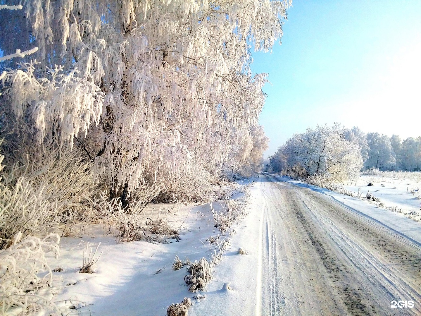 Омск февраль. Природа посёлок кукан зима.