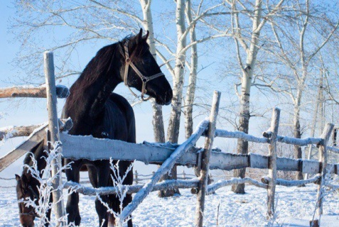 Бийск: Гостевой дом Мечтатель