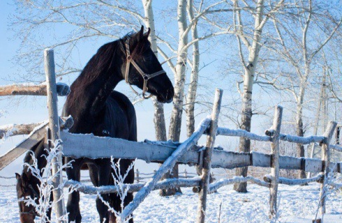 Бийск: Гостевой дом Мечтатель