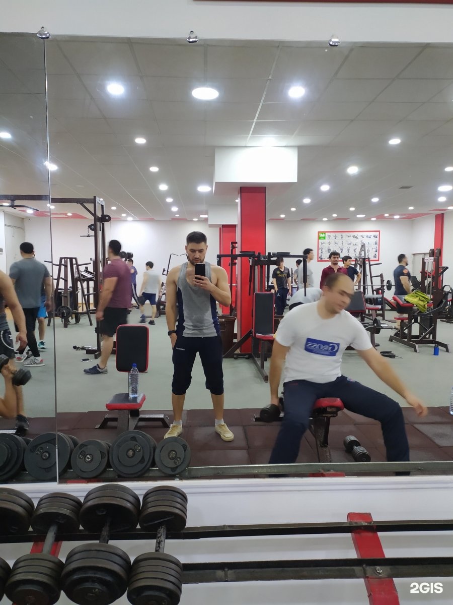 Территория фитнеса бутово. Freedom gym бутово парк. Freedom gym. Спортзал мпгу. Да винчи спортзал красноярск.