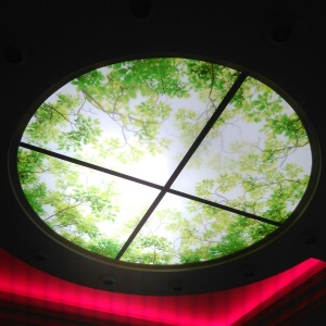 Фото от владельца Виокон, магазин светильников и светящихся подвесных потолков