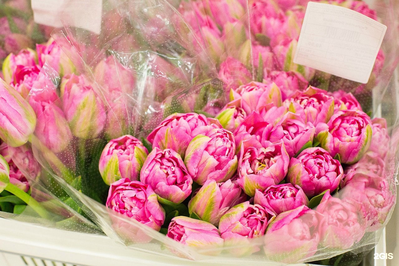 Цветы в розницу по оптовым. Оптовые базы цветов. Тюльпаны голландия склад. Главцветторг новокузнецк. Цветы в розницу по оптовым.