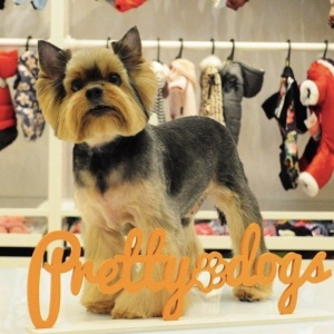 Фото от владельца Pretty Dogs, парикмахерская для домашних животных