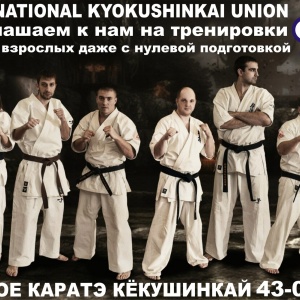 Фото от владельца Национальная Федерация Боевого каратэ Кёкушинкай, г. Тольятти