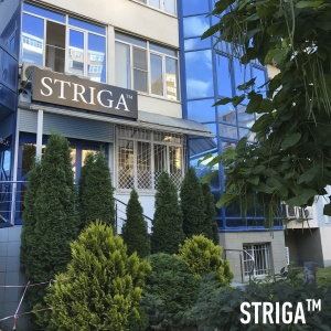 Фото от владельца STRIGA Salon & Academy