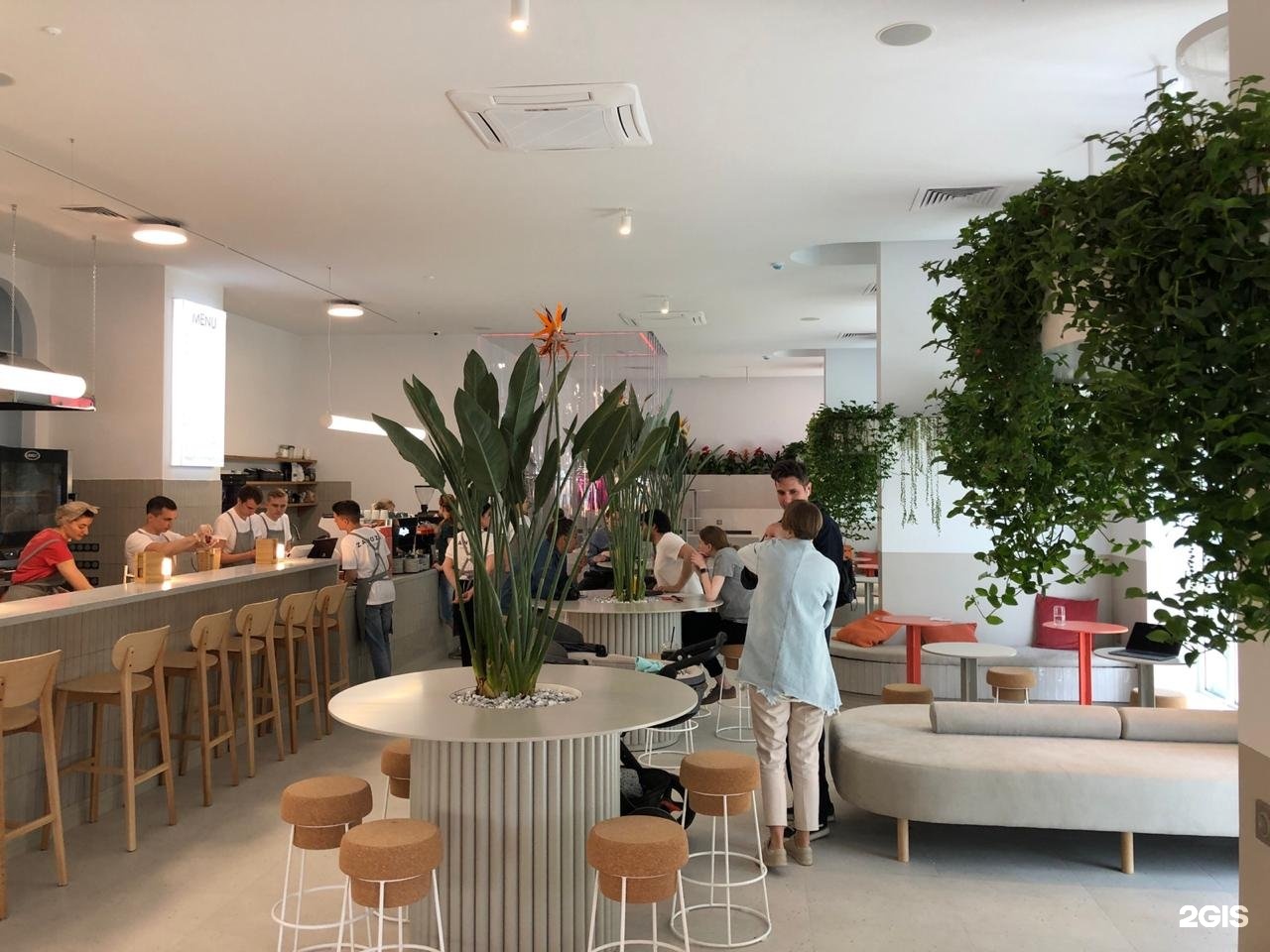 Заноза краснодар ресторан. Заноза бар краснодар. Кафе заноза кемерово. Кафе кемерово. Кафе заноза.