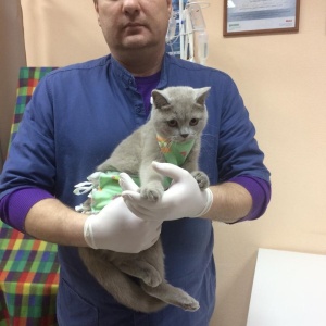 Фото от владельца Доктор Зверев, выездная ветеринарная служба