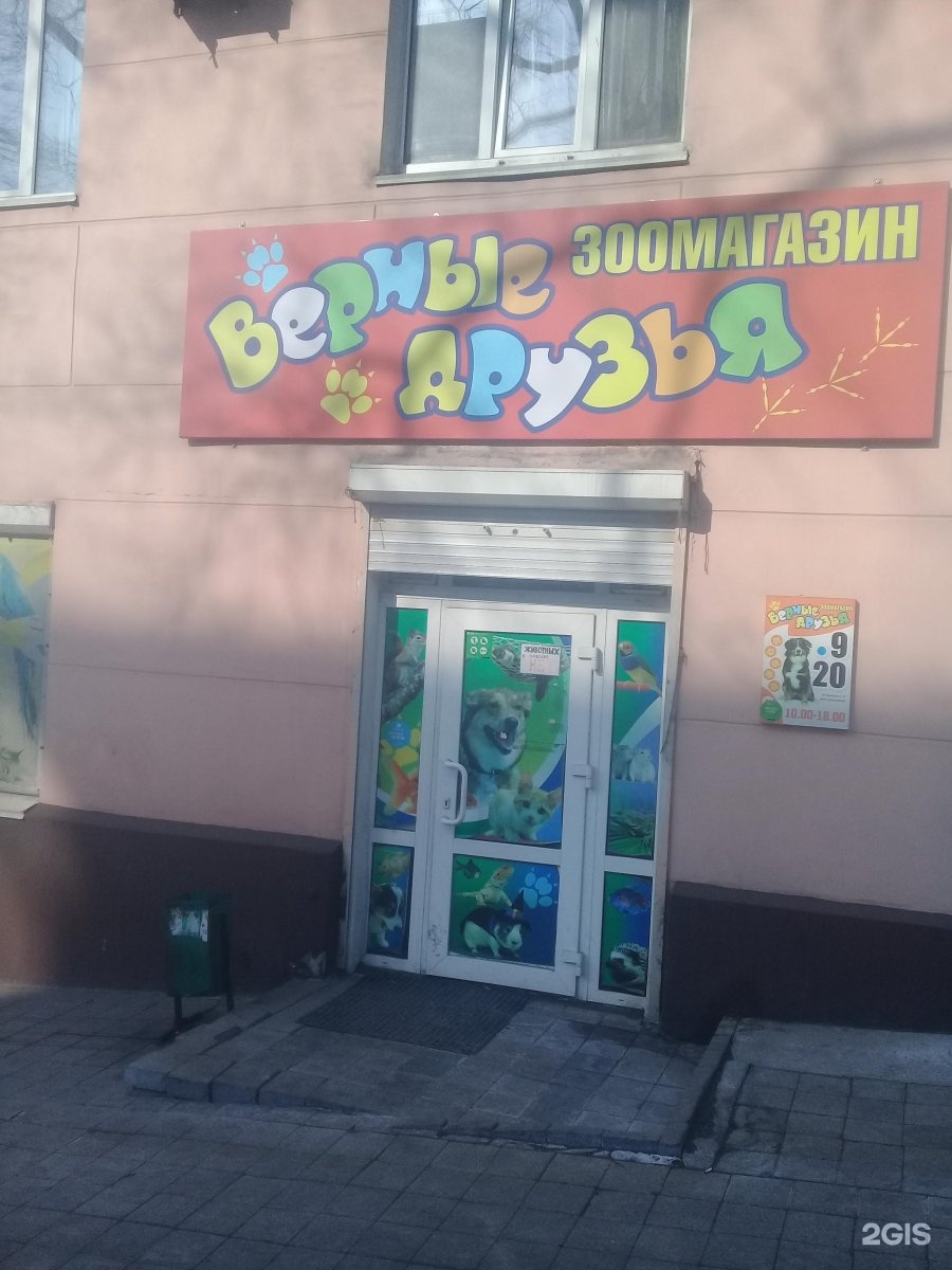 верные друзья зоомагазин хабаровск. зоомагазин друг. верные друзья петрозаводск. верные друзья зоомагазин. верные друзья зоомагазин.