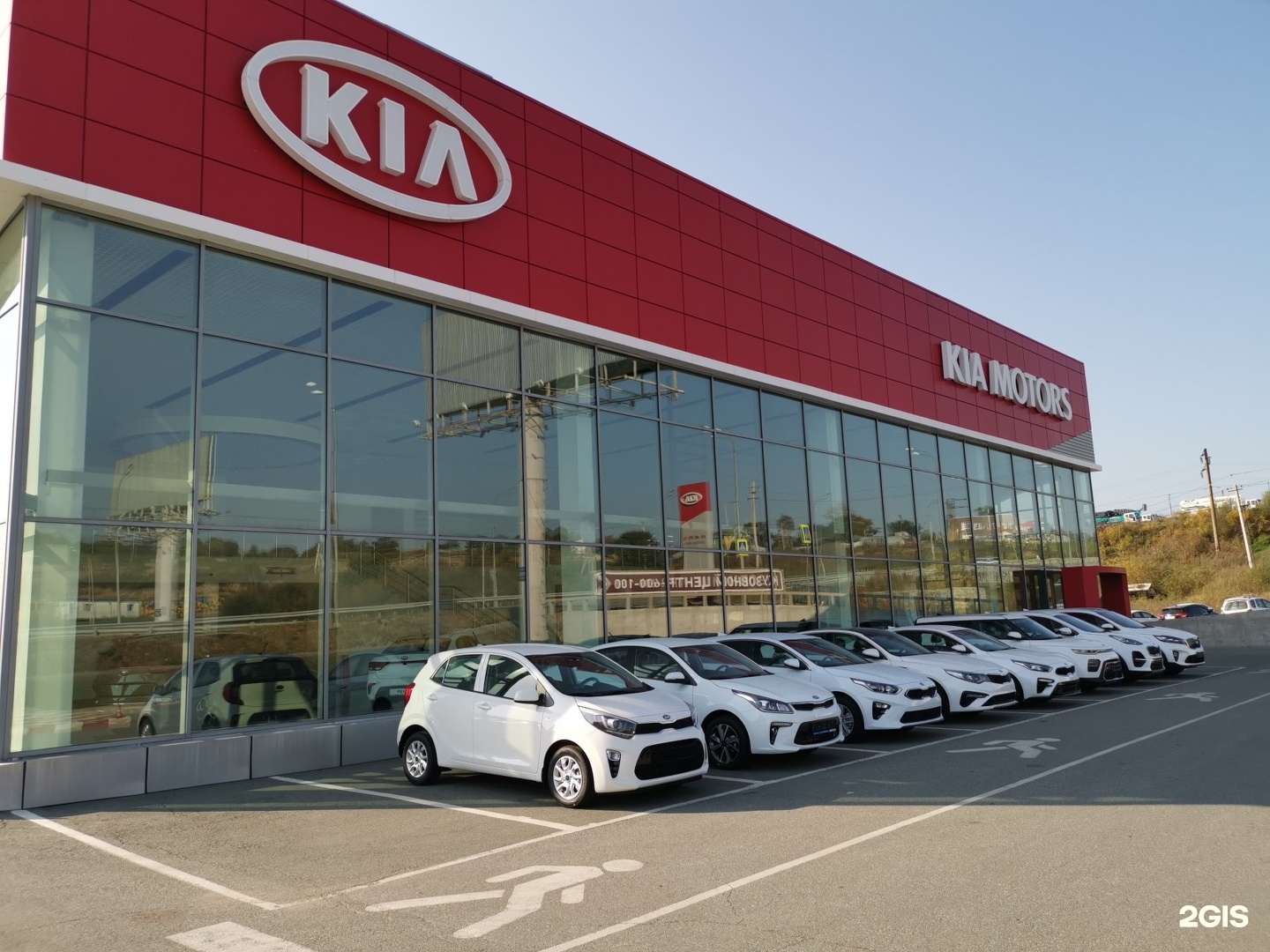 Дилер центр. Дилерский центр Kia. Киа Уфа официальный дилер. Киа Ставрополь официальный дилер. Киа Краснодар официальный дилер.