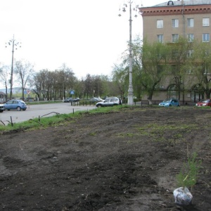 Фото от владельца Ясень, ландшафтное бюро