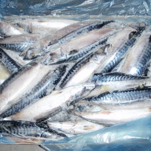 Фото от владельца РыбаЯр, магазин рыбы и морепродуктов