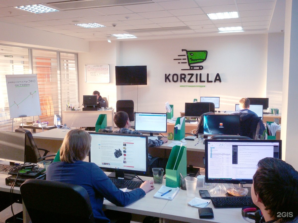 Авито казань вакансии. Korzilla. Netville it компания. It компания Казань. It компании Уфа.