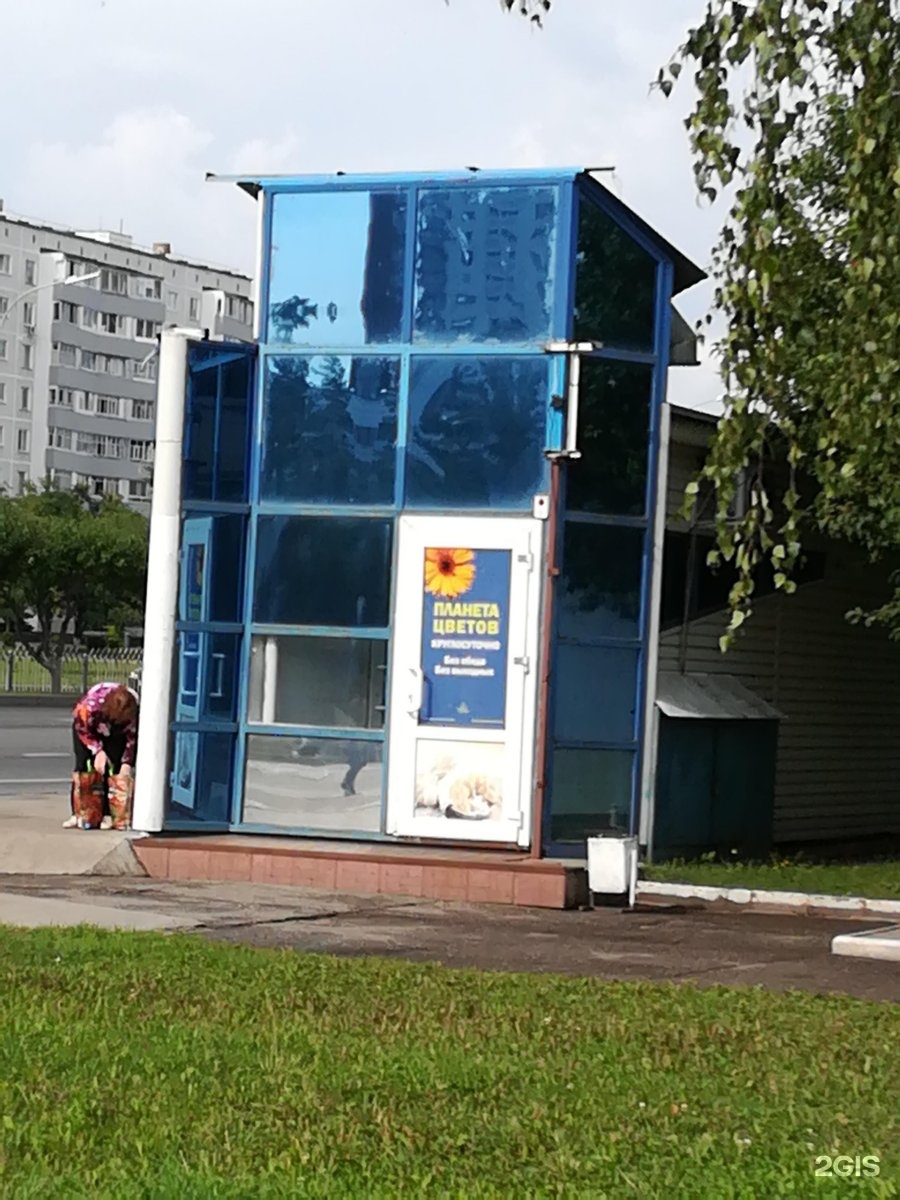 Планета цветов набережные челны. Планета цветов набережные челны