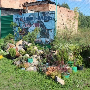 Фото от владельца Сибирская академия деревьев и кустарников, ООО