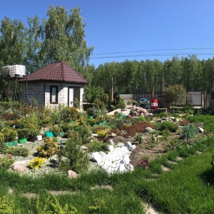 Фото от владельца Сибирская академия деревьев и кустарников, ООО