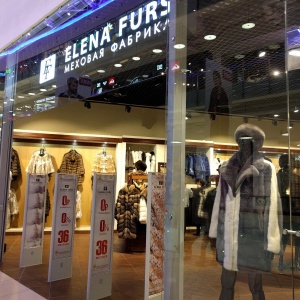 Фото от владельца Elena Furs, сеть магазинов меха