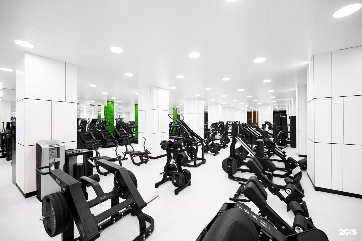 Wellness club. Роял велнес клаб. Фитнес-клуб Royal Wellness Club, Москва. Royal Wellness Club Москва тренажерный зал. Royal Wellness Club Тверь.