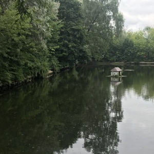 Фото от владельца Сокольники, парк культуры и отдыха