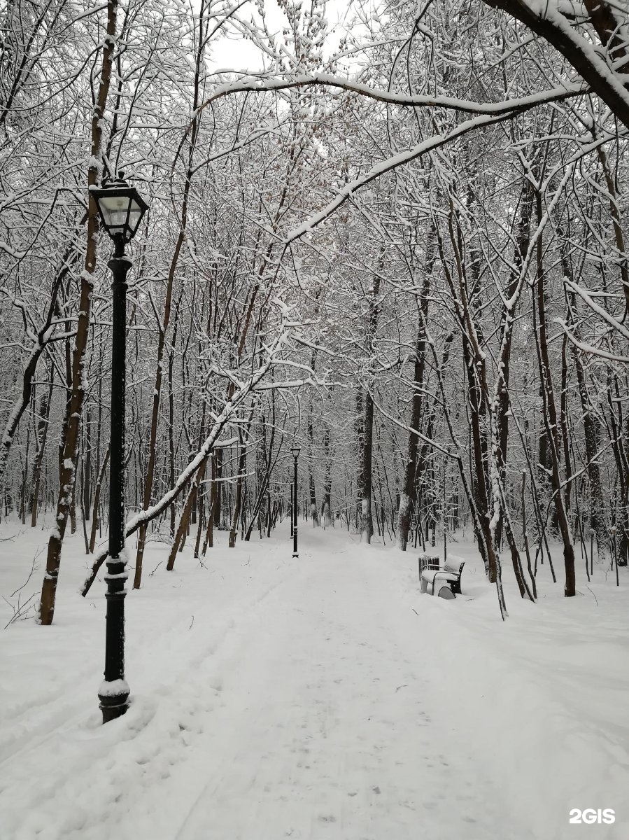 филевский парк зимой