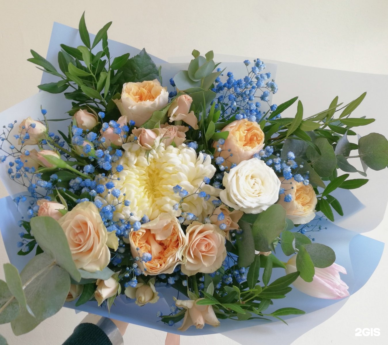 магазин цветов лесная. магазин цветов лесная. цветы в пушкино 24 часа. магазин цветов лесная. магазин цветов лесная.