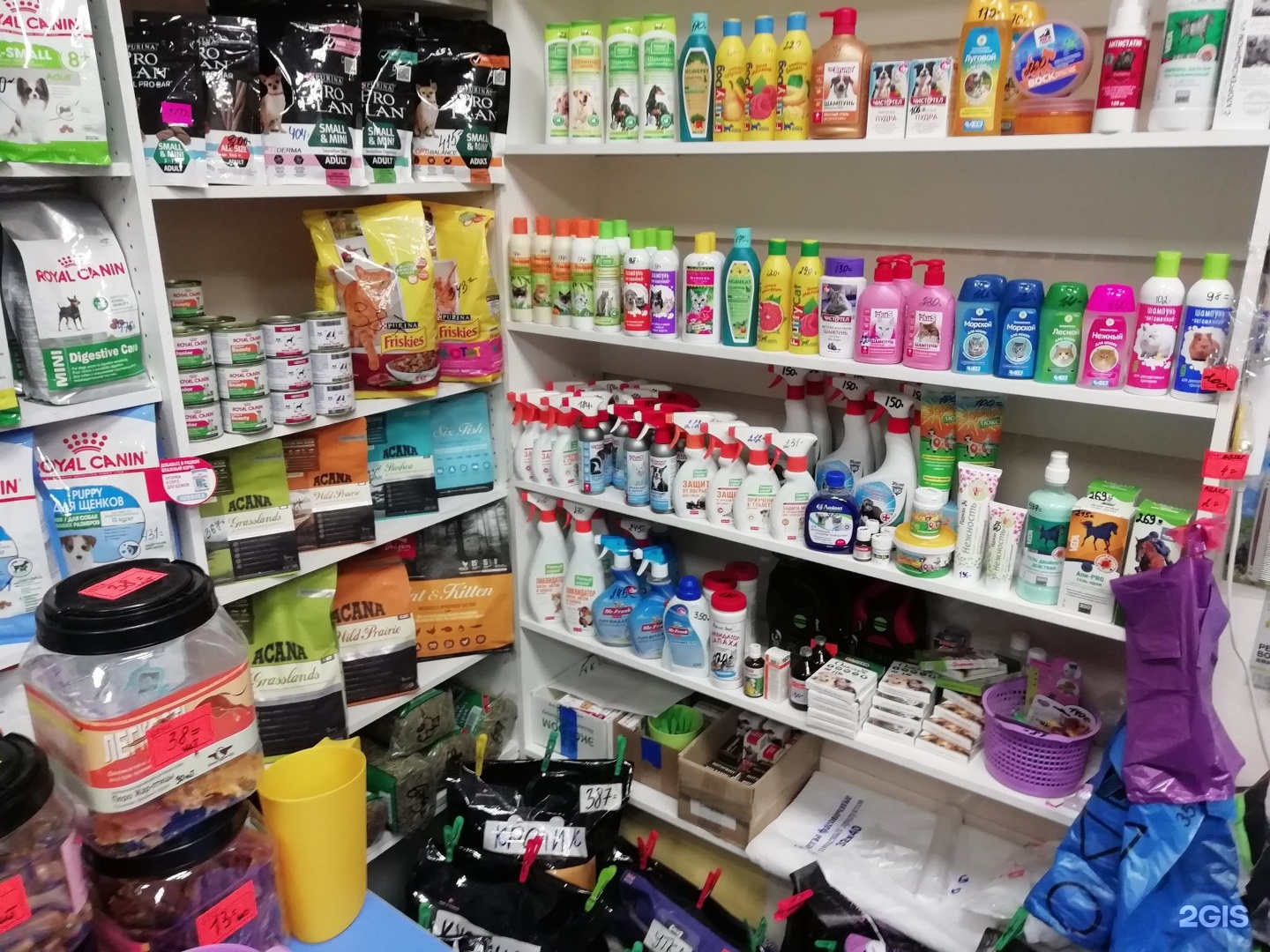 зоомагазин балашиха. зоомагазин балашиха. зоомагазин хвостик фрязино. четыре лапы балашиха свердлова. зоомагазин балашиха.