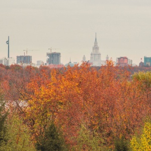 Фото от владельца Московский государственный университет им. М.В. Ломоносова