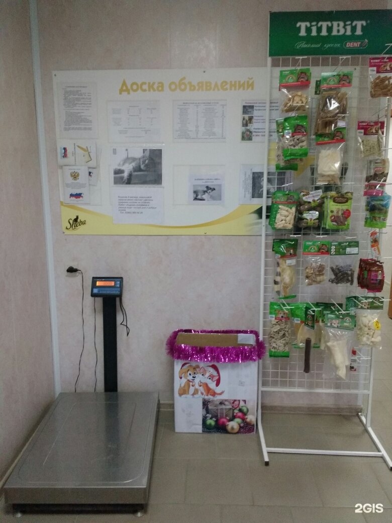 мастервет красноармейск ветклиника. кис вет. кис вет. кис вет. кис вет.