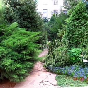Фото от владельца Ботанический сад, ВГСПУ