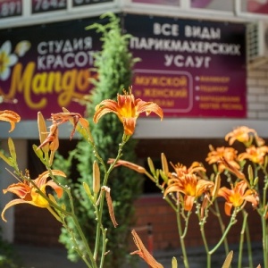 Фото от владельца Mango, студия красоты